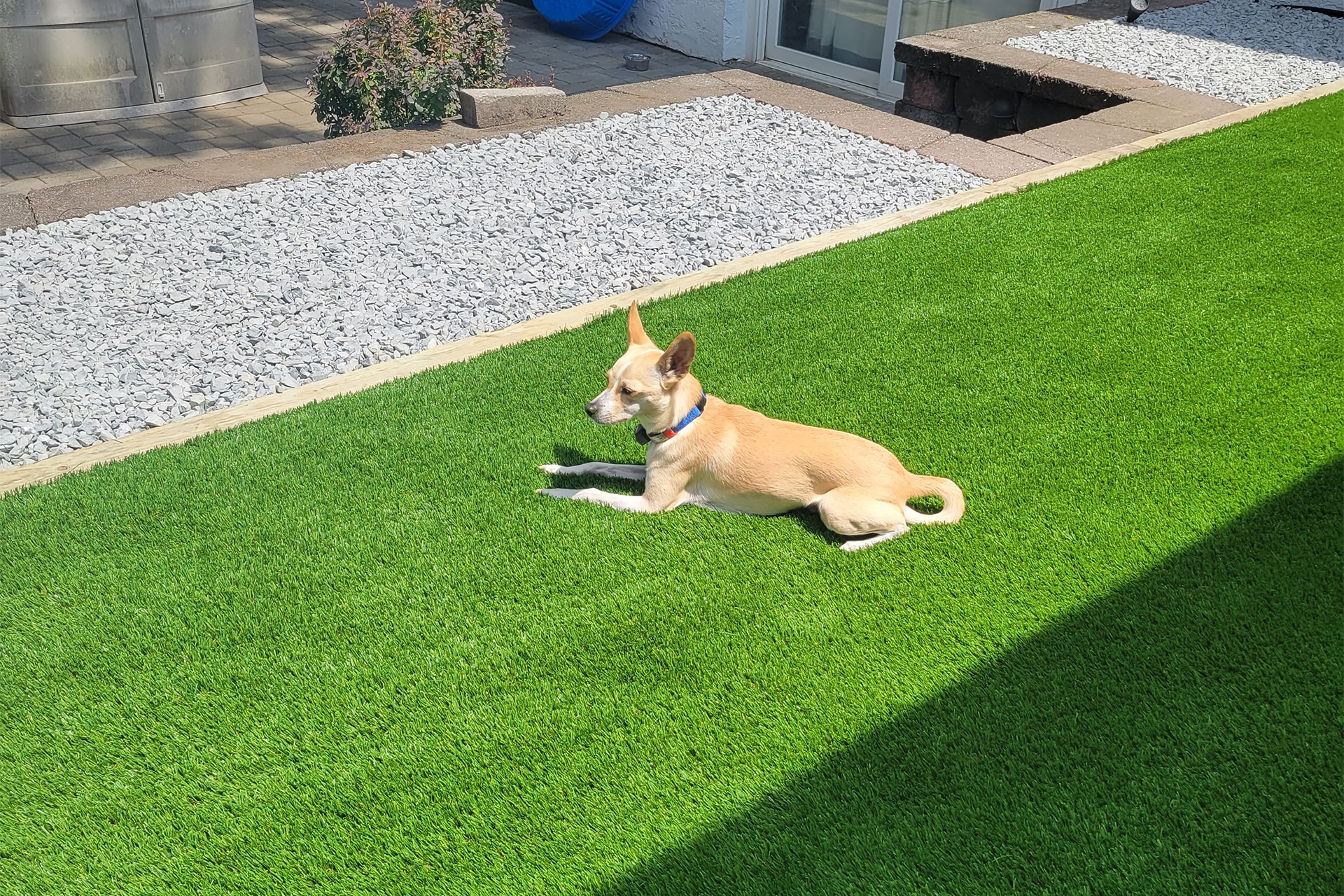 Pet Friendly Artificial Turf Installation